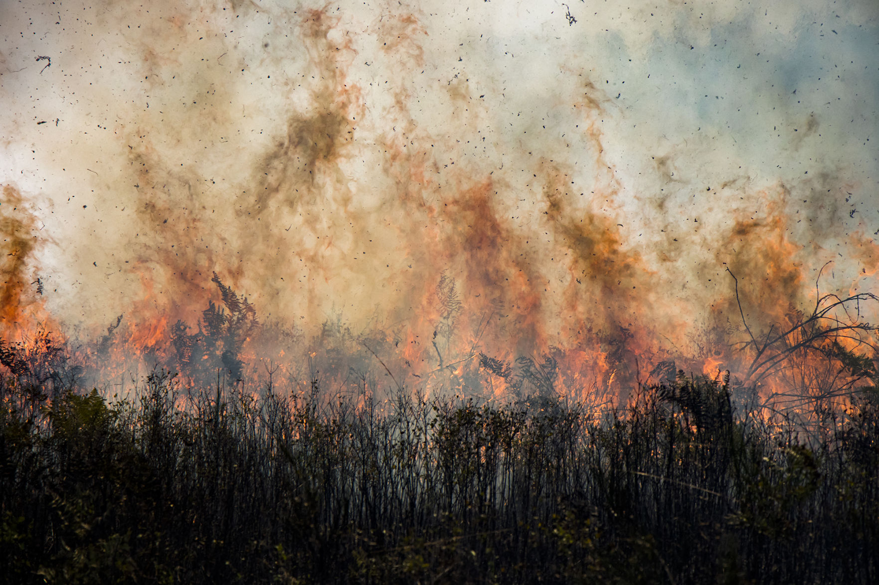 Prescribed Burns Ignite Across Western Washington